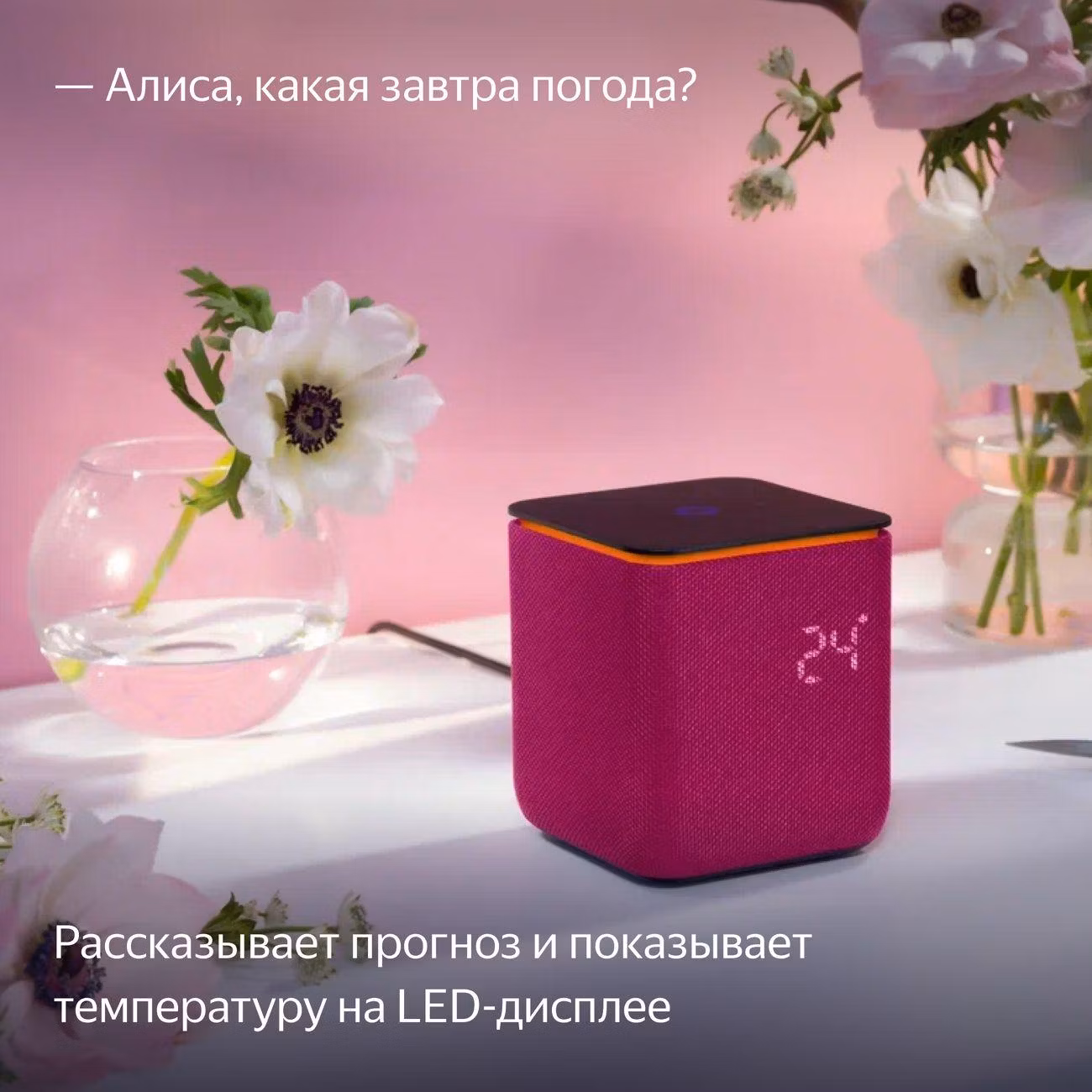 Умная колонка Яндекс Станция Миди с Алисой, с Zigbee™, 24Вт, малиновый